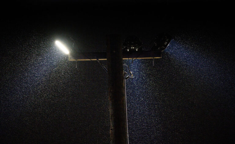 Impending Weather Cancels Saturday’s Speed Palace Showdown at Port Royal