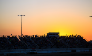81 Speedway by Jacy Norgaard